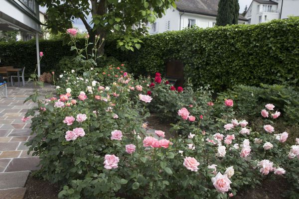 CB Huber 3 neu CB Huber 3 neu