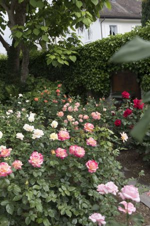 CB Huber 5 neu CB Huber 5 neu