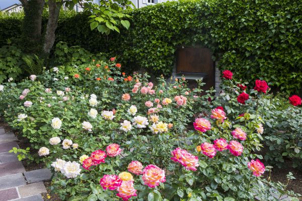 CB Huber 6 neu CB Huber 6 neu