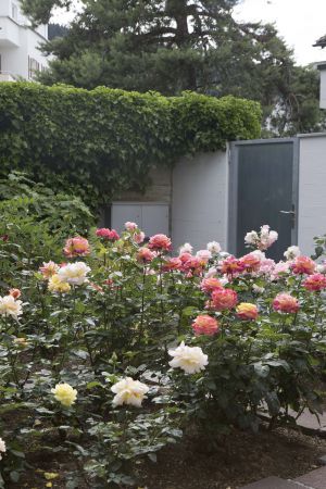 CB Huber 8 neu CB Huber 8 neu